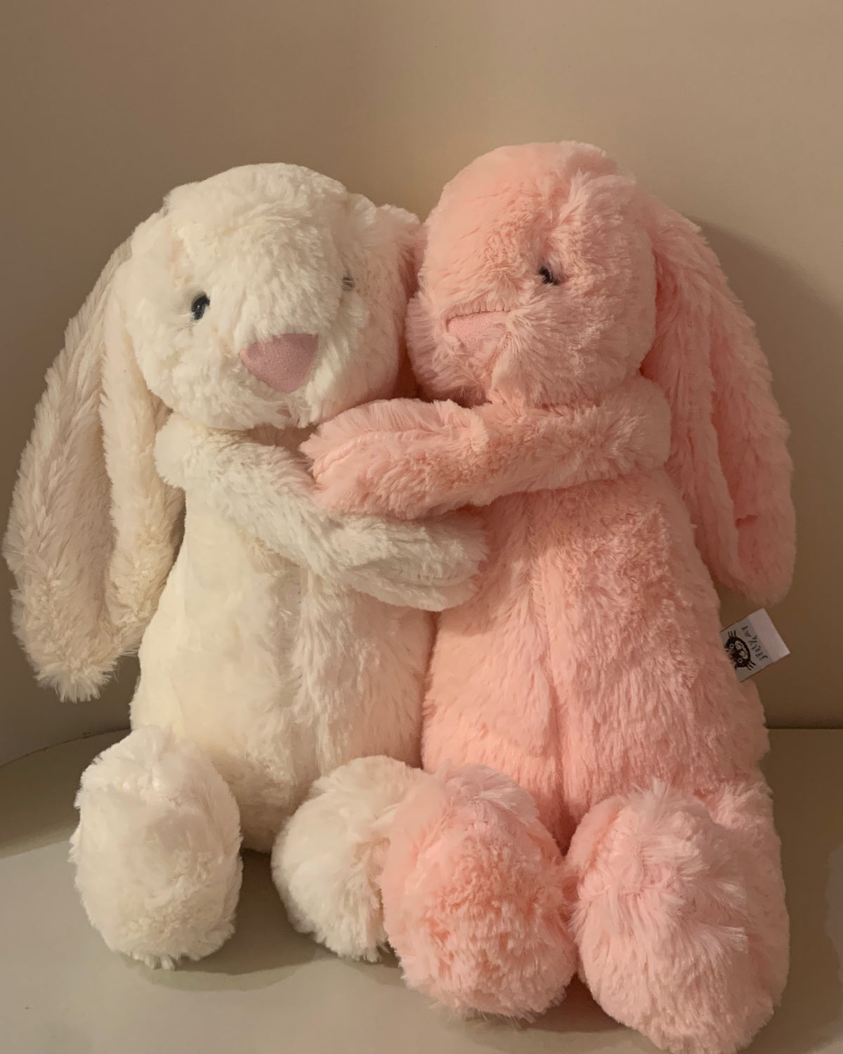 Bunny