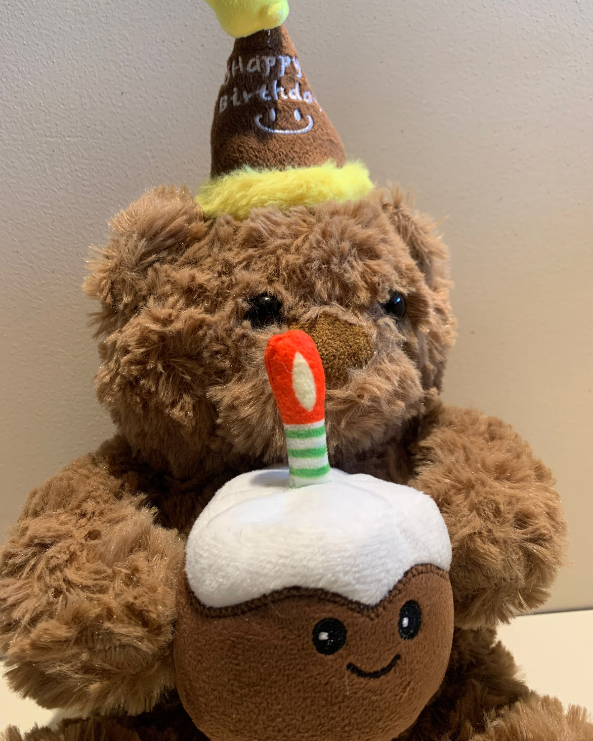Birthday Teddy