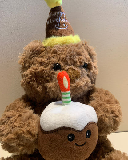 Birthday Teddy