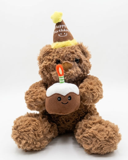 Birthday Teddy